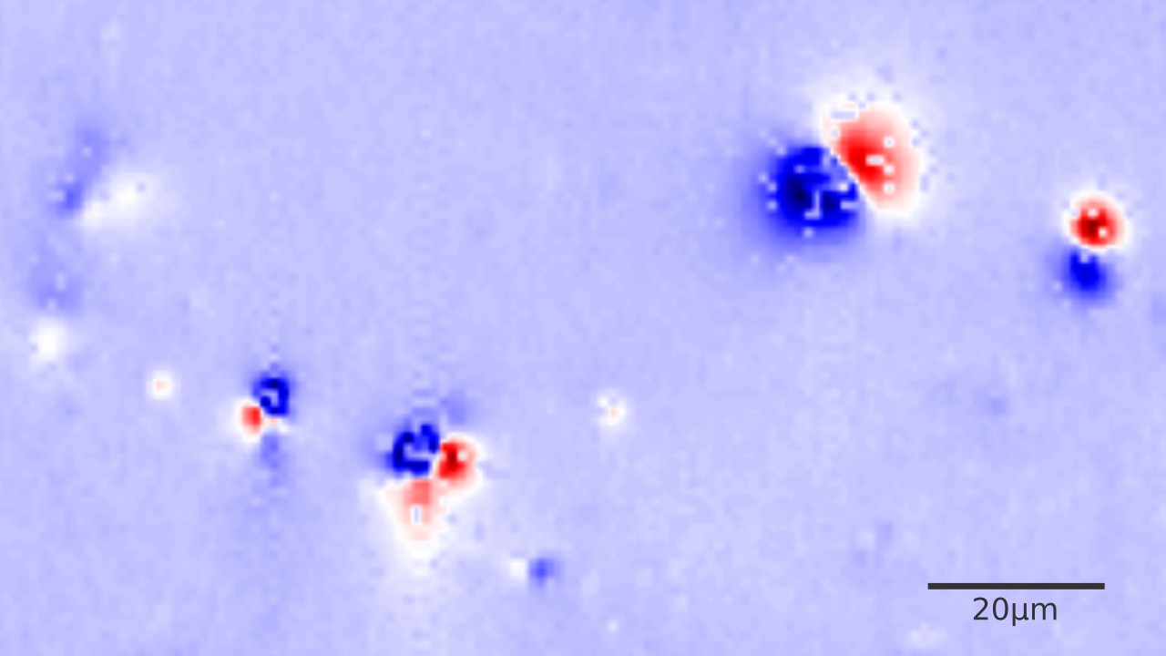 Red and blue map showing dipolar anomalies at a scale of 20 micrometers.